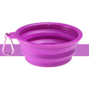 Pet Bowl silicone Retrátil e Portátil
