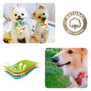 Coleira Bandana Ajustável