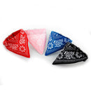 PROMOÇÃO Coleira Bandana para cães e gatos
