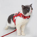 Coleira Peitoral para gato com Guia Funny