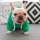 Moletom Pet Fantasia para cachorro