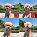 Coleira Bandana Ajustável