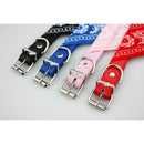 PROMOÇÃO Coleira Bandana para cães e gatos
