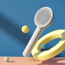 Escova de cabelo autolimpante