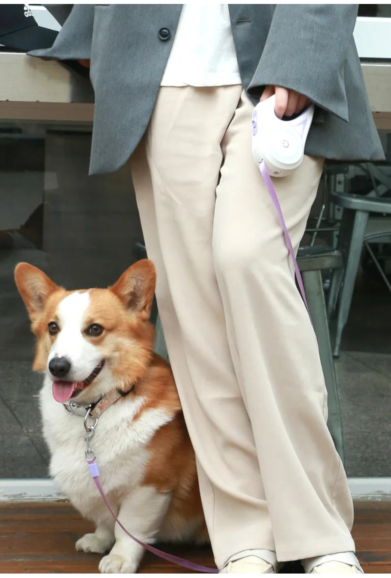 Guia Retrátil Pet - Lanterna Led