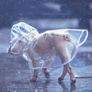 Pet Capa de chuva