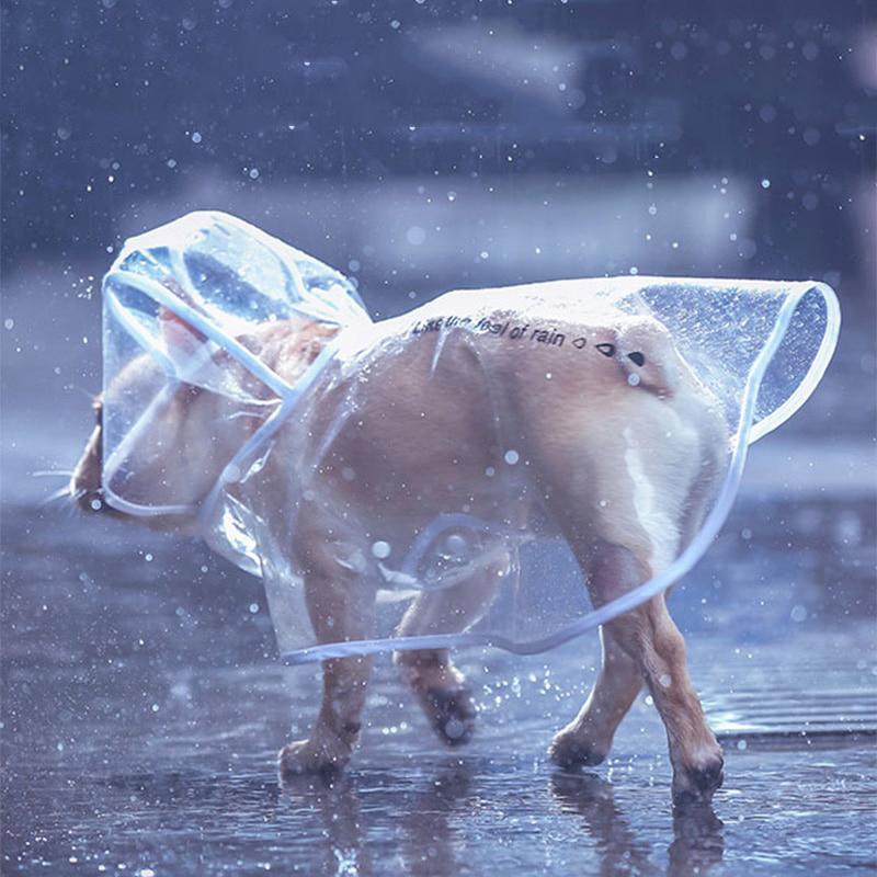 Pet Capa de chuva