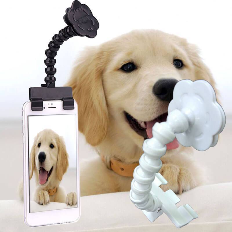 Pet Selfie Stick para cachorro e gato
