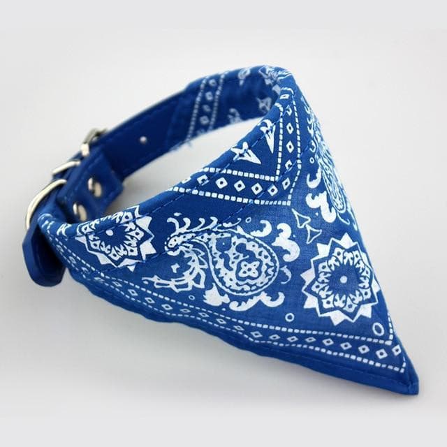 PROMOÇÃO Coleira Bandana para cães e gatos