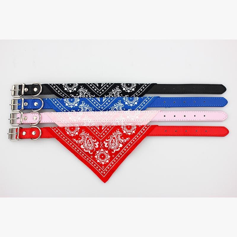 PROMOÇÃO Coleira Bandana para cães e gatos