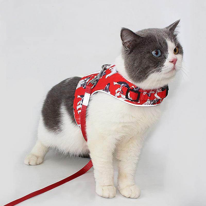 Coleira Peitoral para gato com Guia Funny