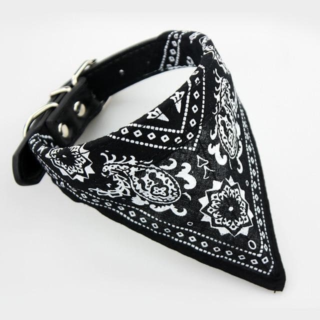 PROMOÇÃO Coleira Bandana para cães e gatos