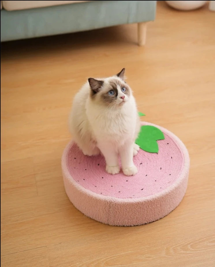 Arranhador para Gatos