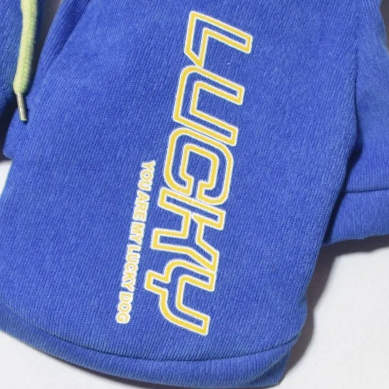 Moletom com Capuz para Cachorro Style