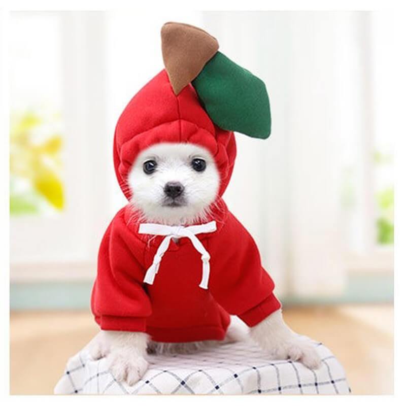 Moletom Pet Fantasia para cachorro