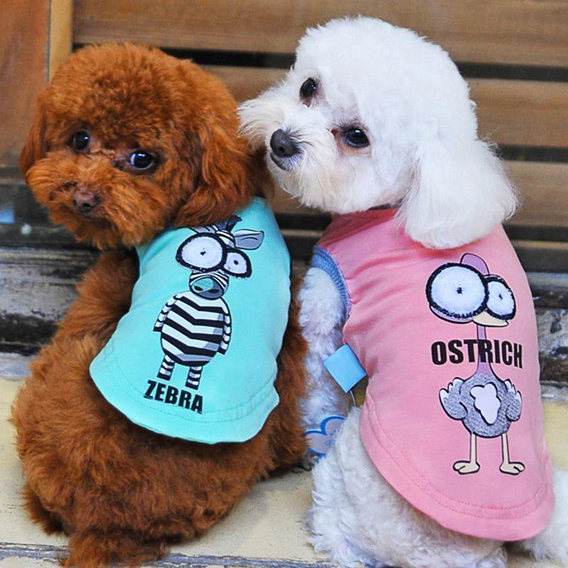 Pet T-shirt Cartoon