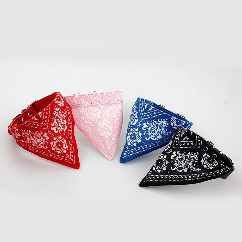 PROMOÇÃO Coleira Bandana para cães e gatos