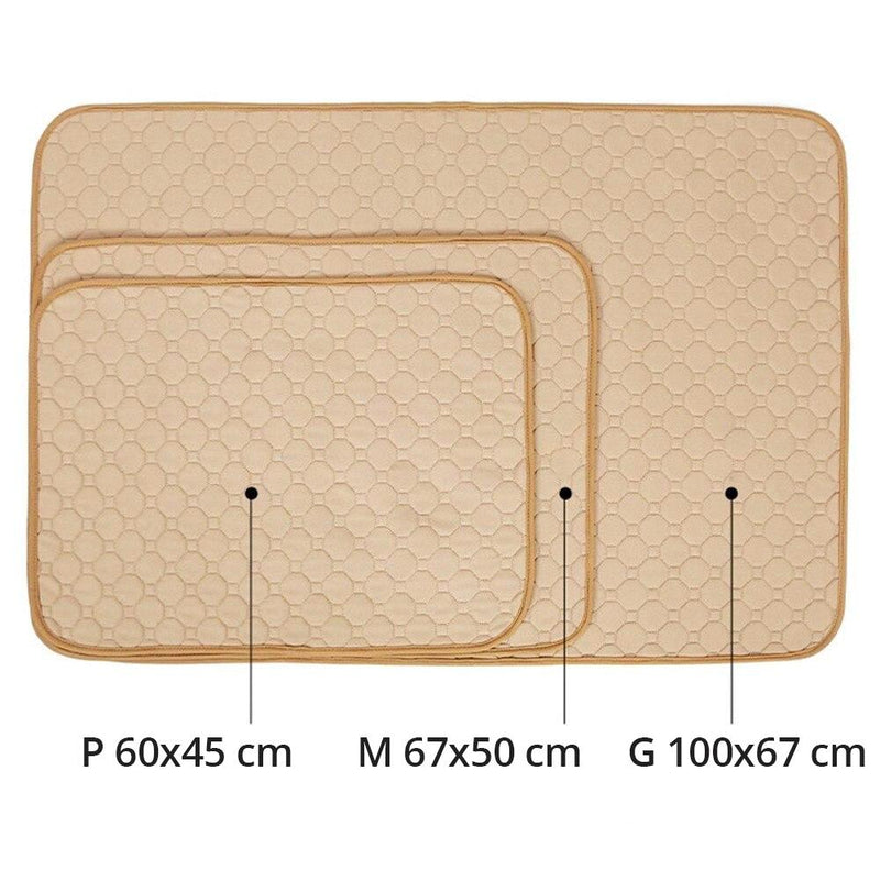 Promoção Tapete Higiênico Lavável Pet para cães