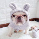 Casaco com orelhinha para gatos e cães pequenos