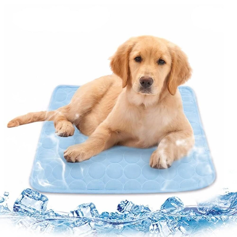 PROMOÇÃO Pet Tapete Gelado para cães e gatos