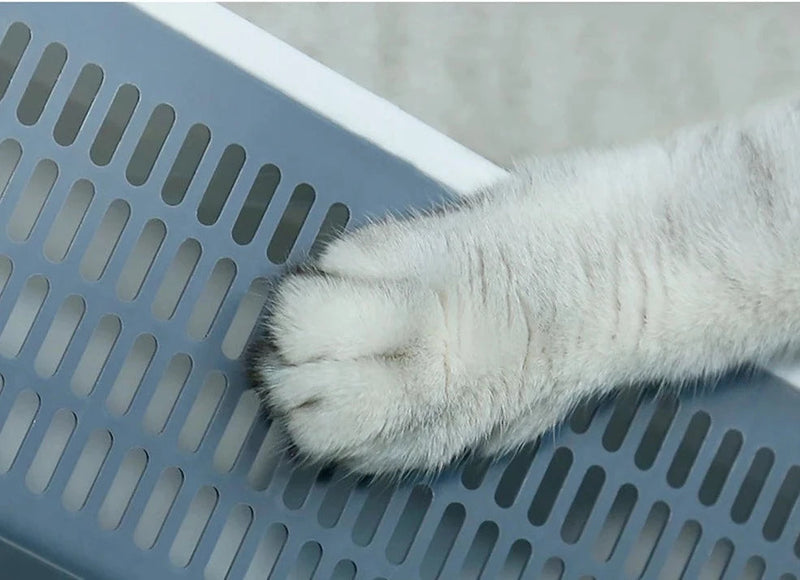 Caixa de Areia Cat - Higiene