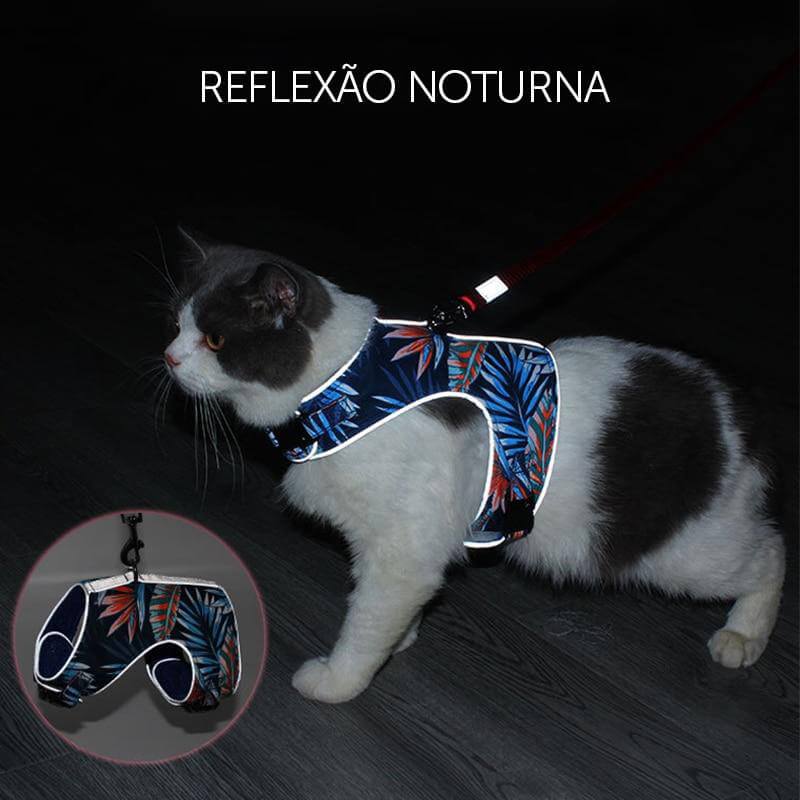 Coleira Peitoral para gato com Guia Funny