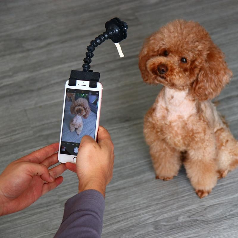 Pet Selfie Stick para cachorro e gato