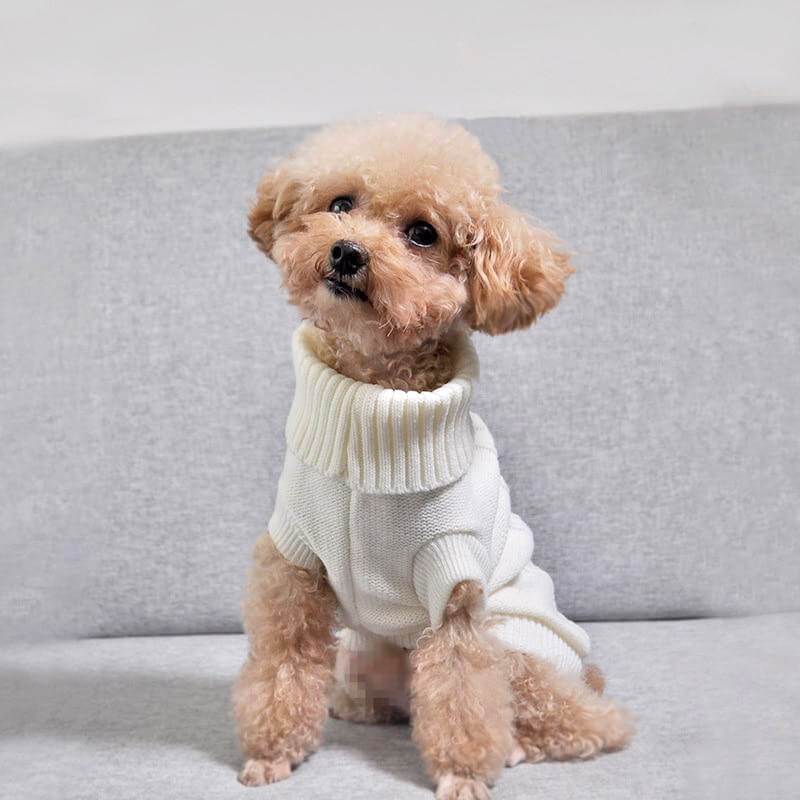 Malha Outono Inverno para cães e gatos