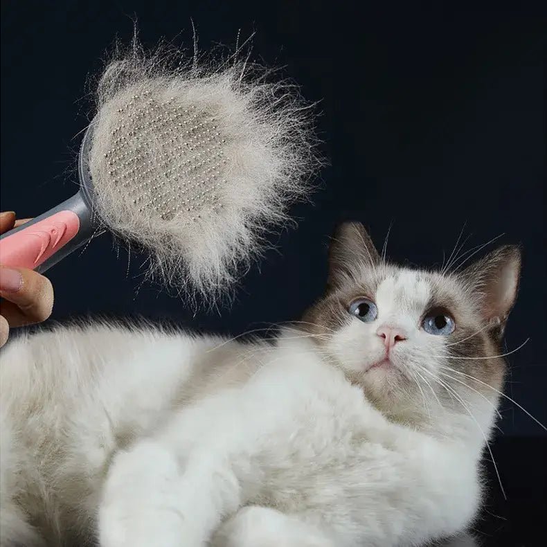 Escova Pet Beauty para cachorro e gato